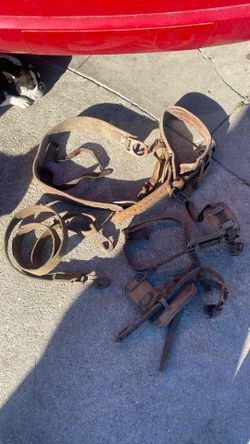 Climbing Spikes For $50