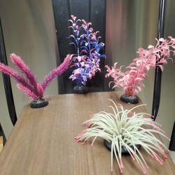 Aquarium Decoration