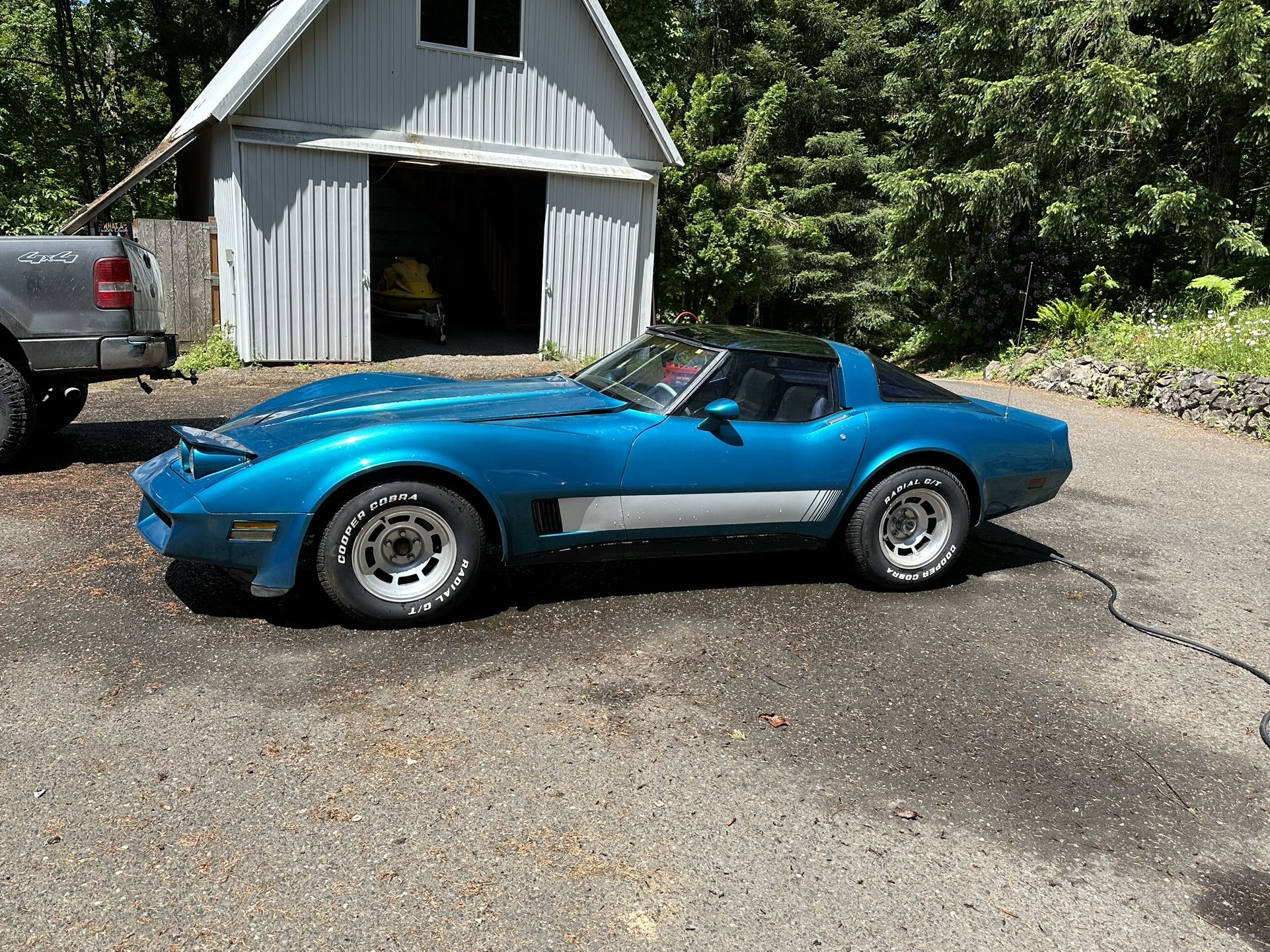 1981 Chevrolet Corvette