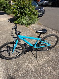 Diamondback Metric 24