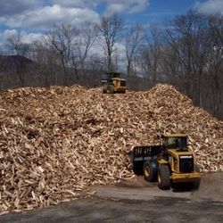 Firewood West Friendship