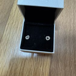 Pandora Heart Earrings