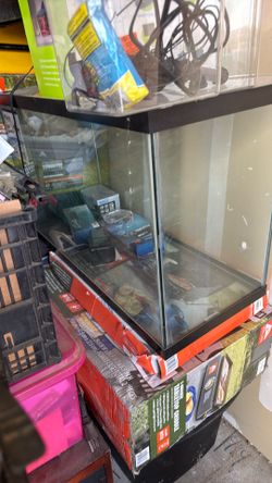 Salt water tank and equipment