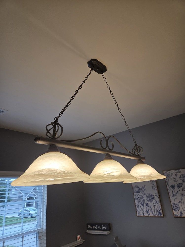 Light Fixture $20 Obo