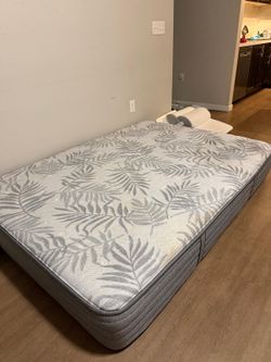 Sealy costco full size mattress