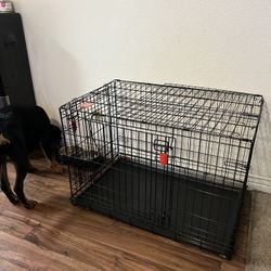 Kong Dog Kennel 