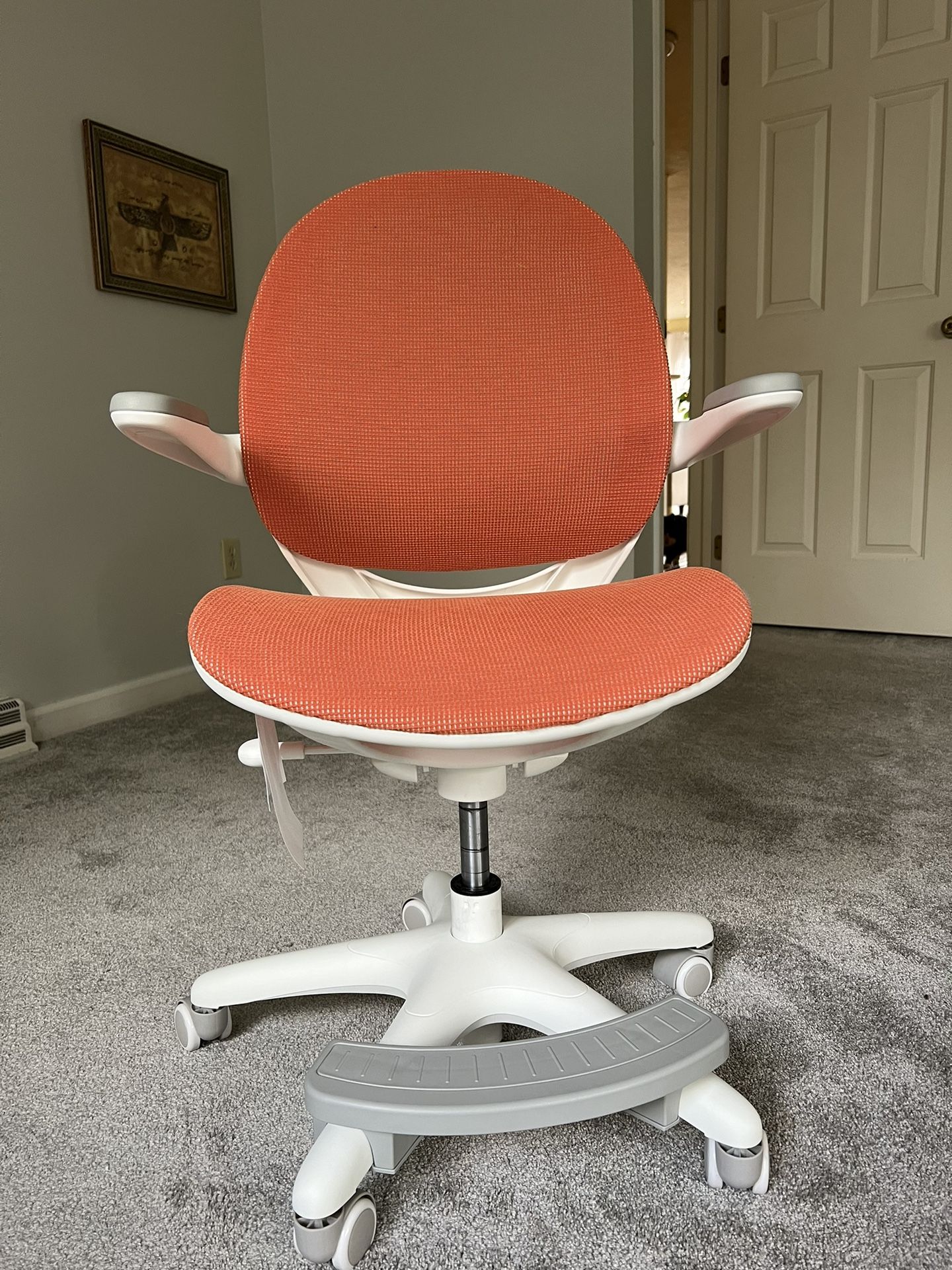 Ergonomic Chair 