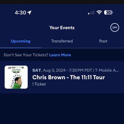 Chris Brown 11:11 Tour ONE FLOOR TICKET