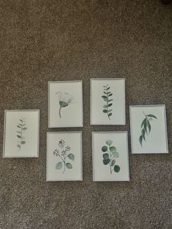 Set of 6 Botanical Watercolor Framed Prints