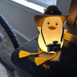Cowboy Duck