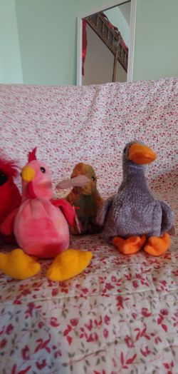 Ty beanie baby birds