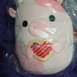 Squishmallows 12inch.Reshma New