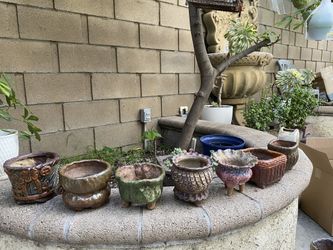 KOREA SUCCULENT POT