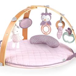 Activity Gym For Baby Girl 