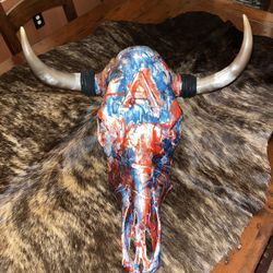 U Of A COW SKULL 
