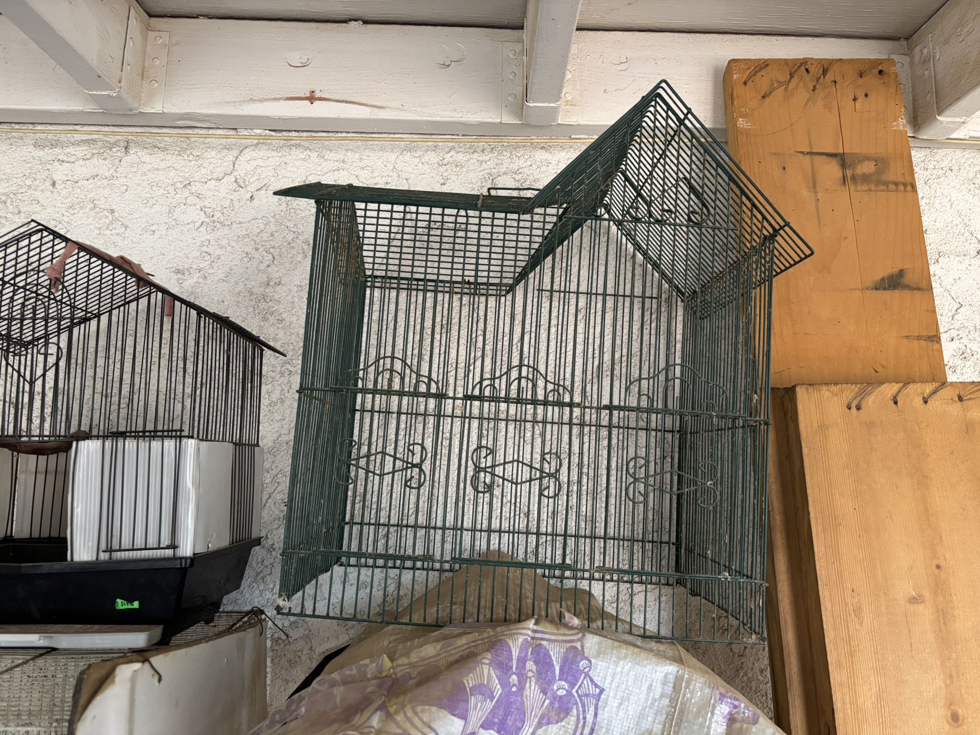 Bird Cages 