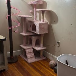 Cat Condo