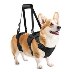 NOYAL Dog Lift Harness for Senior & Injured Pets – Full-Body Support Sling with Breathable Mesh, Front/Rear Leg Assist for Arthritis, Hip Dysplasia & 