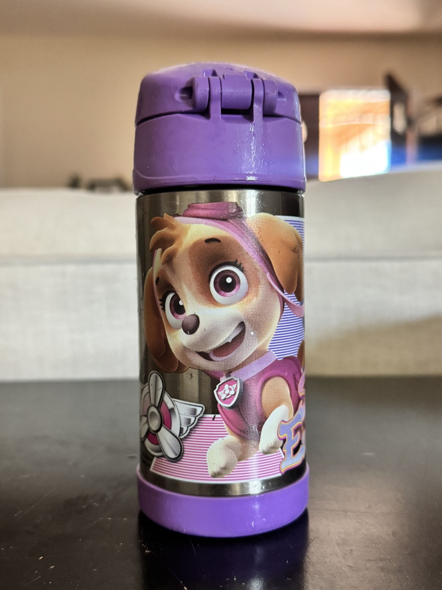 Kid’s Thermos Insulated Bottle Skye And Everest Paw Patrol