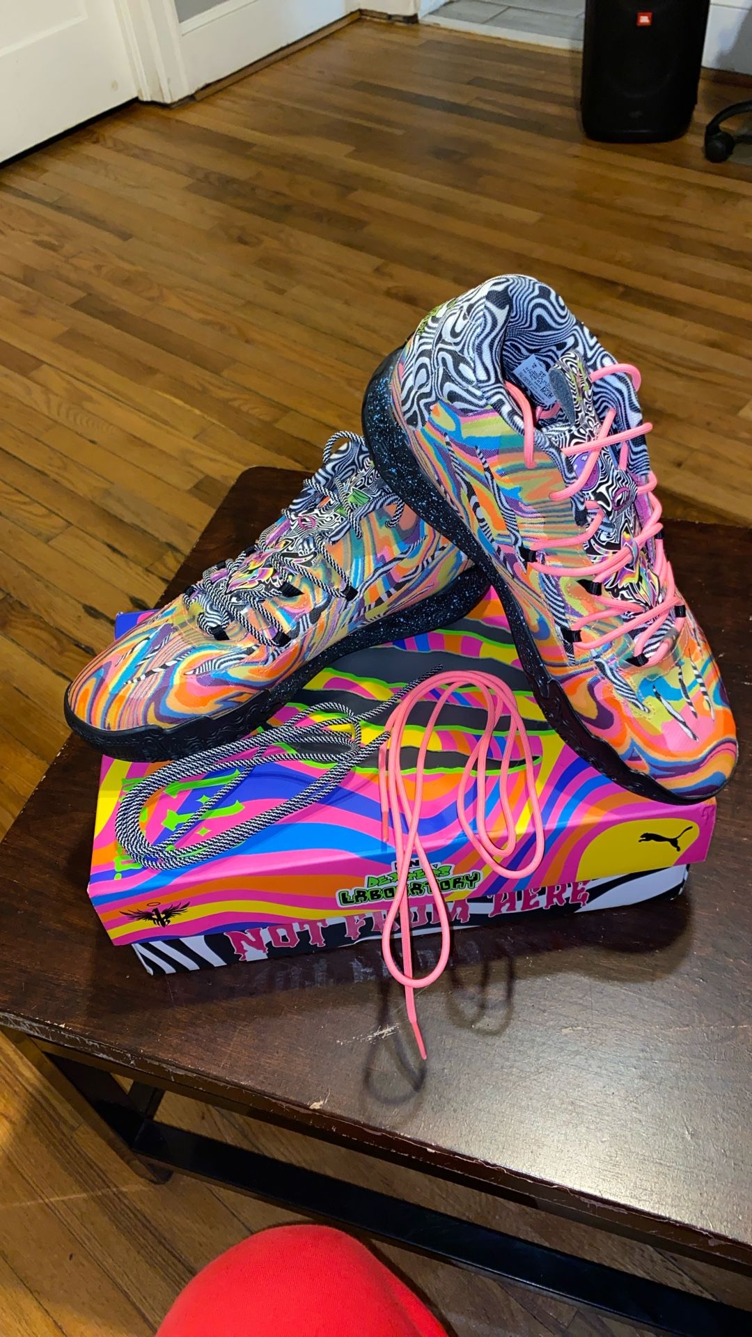 Dexter’s Laboratory Melos Size Adults 9