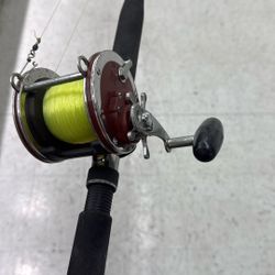 Penn Senator 4/0 W/ Senator Rod