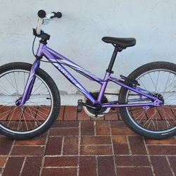 Specialized Hotrock 20 Inch Kids Bike Ready To Ride