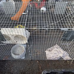 Large Animal Trap