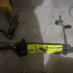 Hands Free Dog Walking Belt By The Ultimate 