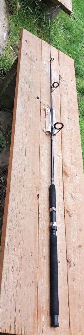 Quantun Trophy Big Water 7'0" Spinning Fishing Rod 