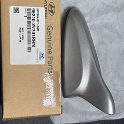 Hyundai  Antenna 962102V701RHM