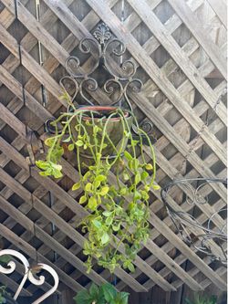 2-piece Wall Planter