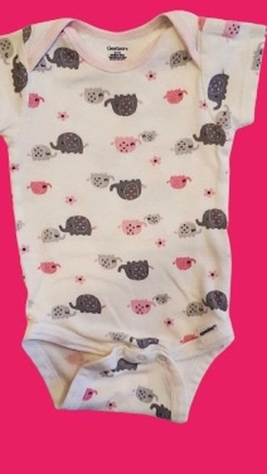 Baby Onesie