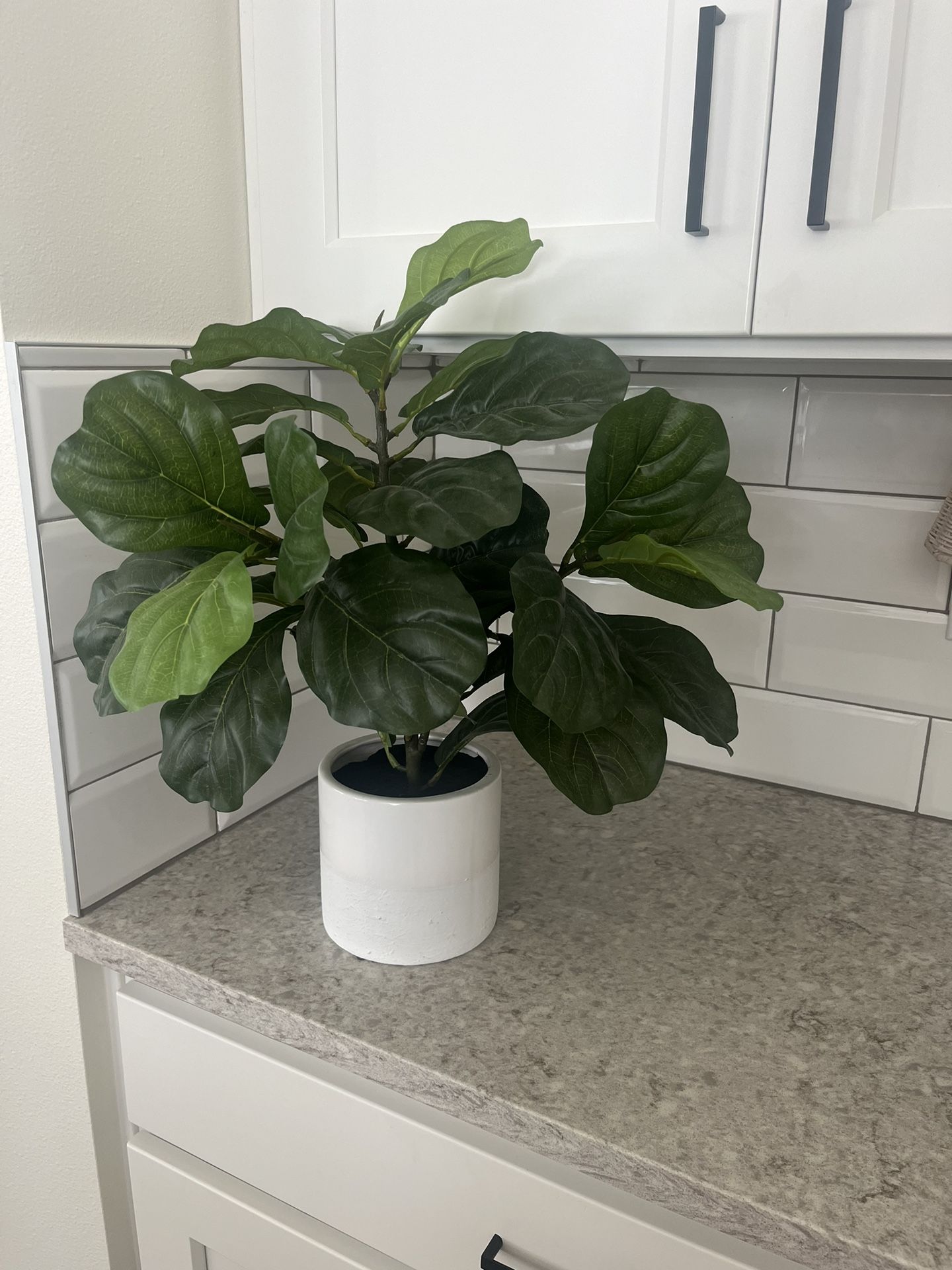 Faux Fiddle Leaf Plant $15