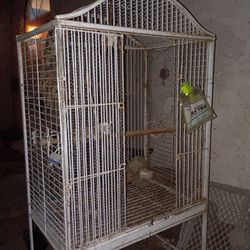 Bird cage
