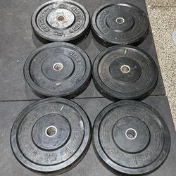 45lb Bumper Plates