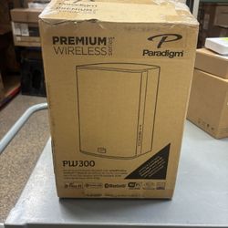 Paradigm PW 300