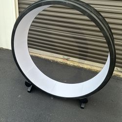 Large Cushioned Cat Exercise Wheel