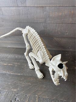 NEW - Cat Skeleton with moving jaws, rotating head and moving tail - faux
