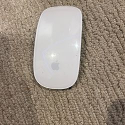 Apple Mouse 
