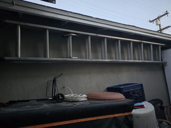 20' werner ladder
