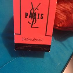 Paris Yves Saint Laurent Performs 