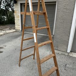 6Ft Ladder 