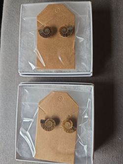 Ammonite and Sterling Silver Earrings
