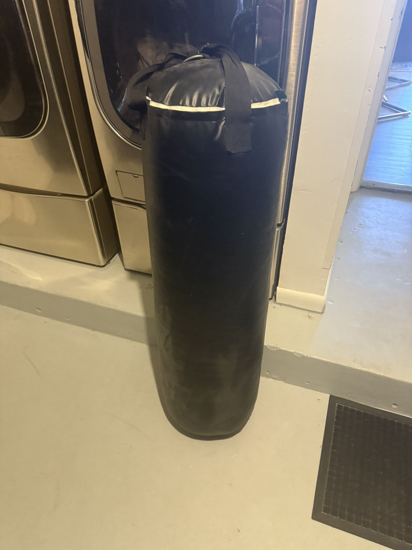 Punching Bag (only The Bag)