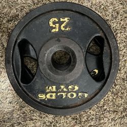 2 25 Pound Plate Weights 