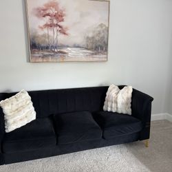 Black Velvet 3  Sitting couch