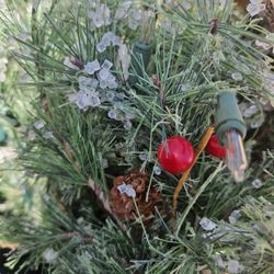 7.5 Ft Redland Spruce Pre Lit Christmas Tree