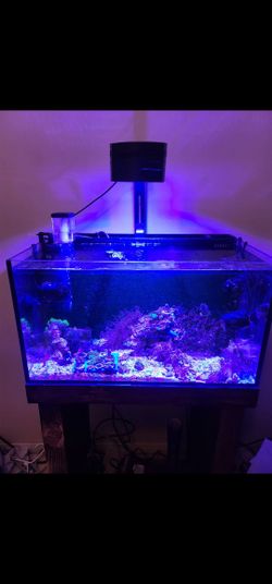 All In One Aquarium