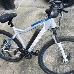 Moscow Plus 48v Mountain Bike 29”