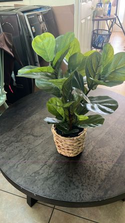 Cute Faux Plant
